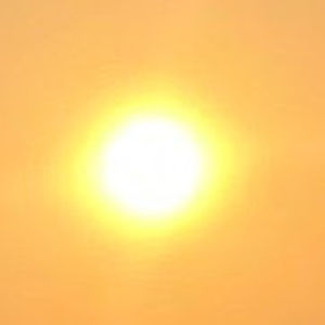 Meet your Posher, Prabesh